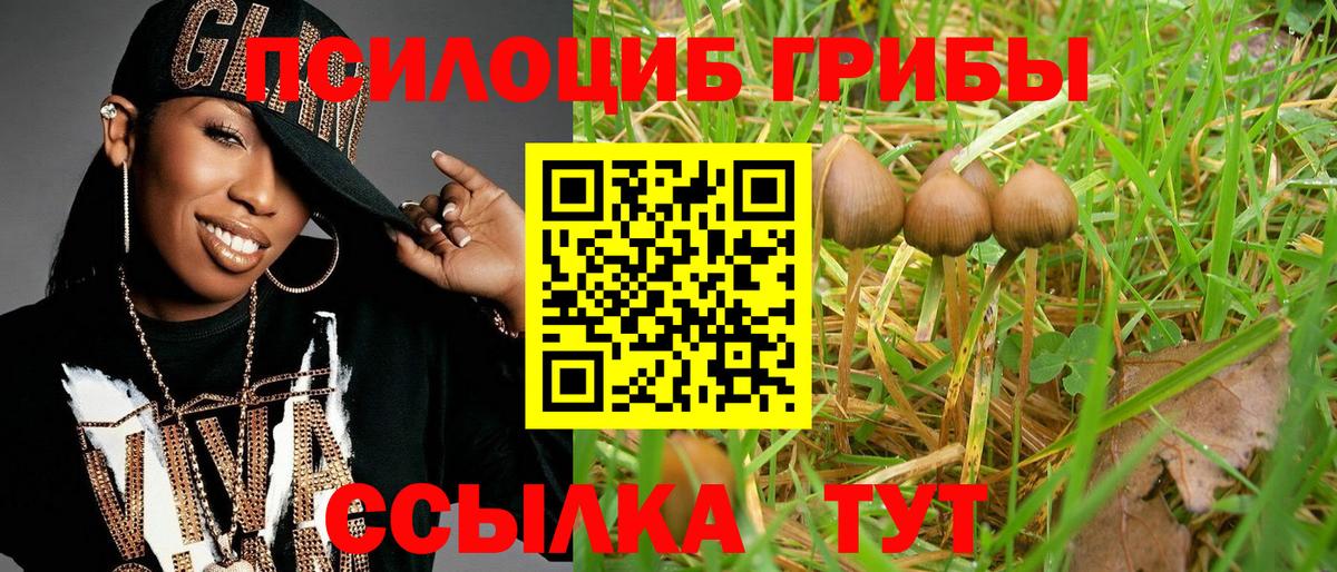 Галлюциногенные грибы MAGIC MUSHROOMS Королёв
