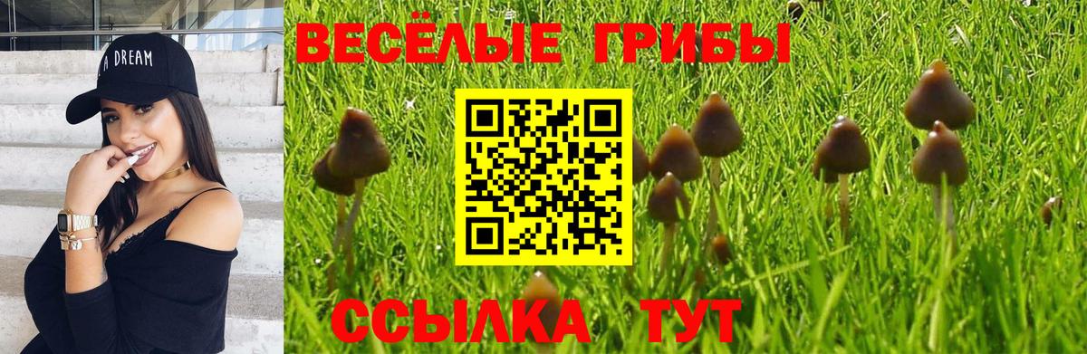 Псилоцибиновые грибы ЛСД  Вход с VPN  Королёв 